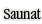 Saunat